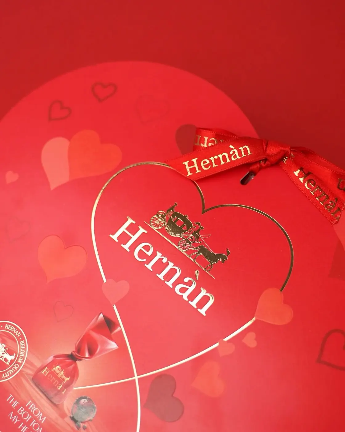 Hernán Heart, Bild 1